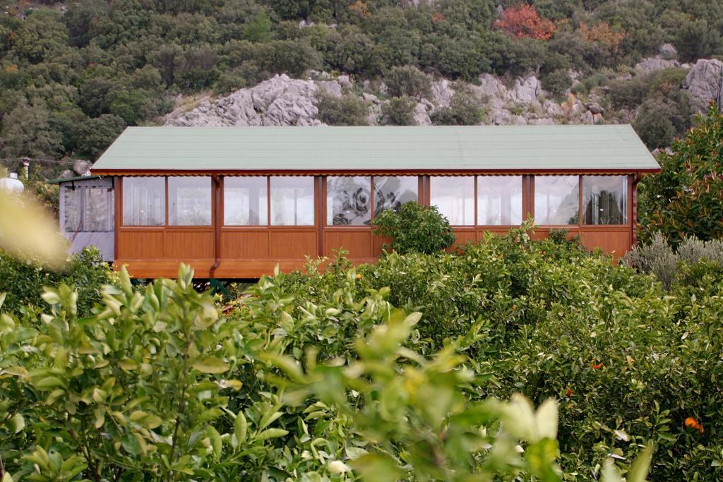 Grand Aygun Hotel Çıralı 外观 照片